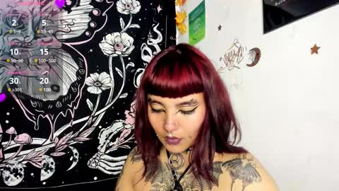 sheccid   online show from December 9, 1:51 am