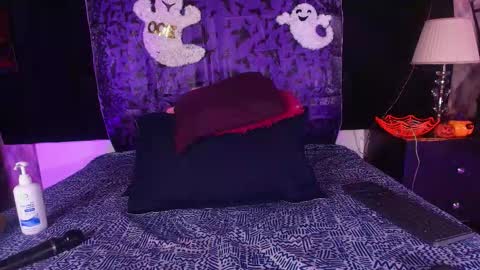 Shelsy online show from November 4, 12:04 pm