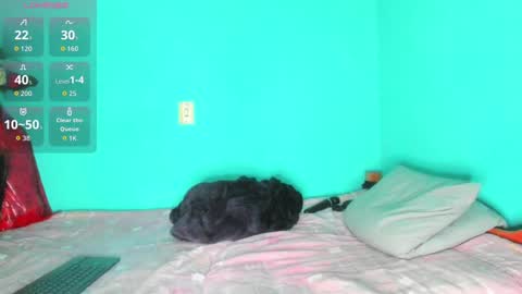 shera hade online show from November 19, 5:24 pm