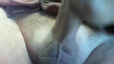 Snapshot of shoot4u2803 chatting on February 13, 11:17 am Shoot4u online show from February 13, 11:17 am