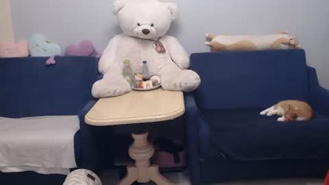 Snapshot of shy_moony chatting on July 30, 8:19 pm just Alex online show from July 30, 8:19 pm