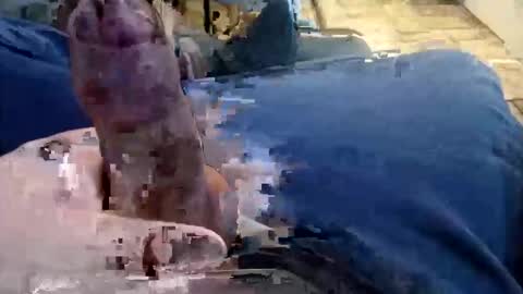 shynessy online show from December 15, 1:10 am