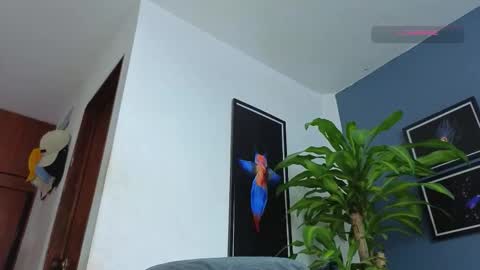 silvabranko online show from December 18, 12:17 am