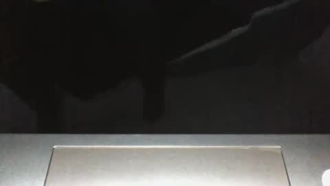 Silverhawk06 online show from December 23, 2:20 am