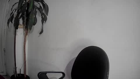 Silvie online show from December 2, 12:52 am