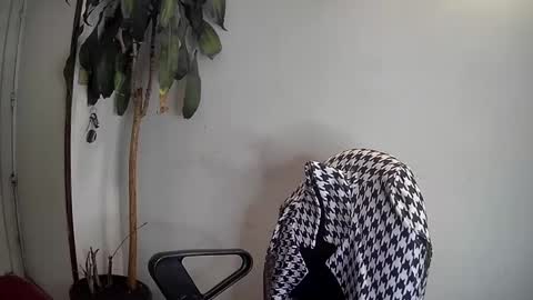 Silvie online show from January 7, 3:46 am