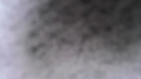 simpsznn online show from February 24, 11:30 am