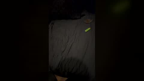 Snapshot of simsimeon chatting on March 1, 1:35 pm simsimeon online show from March 1, 1:35 pm