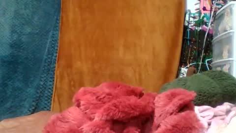 Snapshot of siofra chatting on November 16, 4:51 am Siofra online show from November 16, 4:51 am