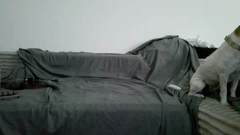 sircheese69x2 online show from June 6, 8:19 am