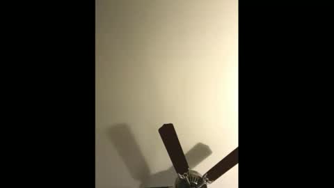 Snapshot of sissynovaholes chatting on January 4, 2:56 am sissynovaholes online show from January 4, 2:56 am