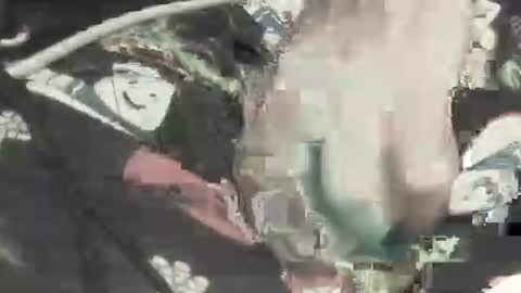 sithjw78 online show from November 23, 2:33 am