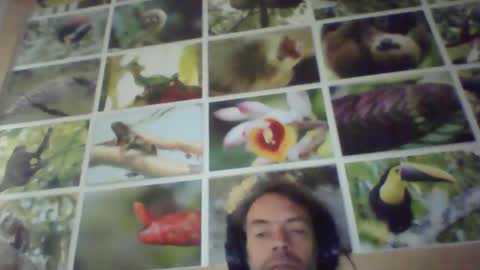 Snapshot of sji123 chatting on February 22, 6:06 am sji123 online show from February 22, 6:06 am