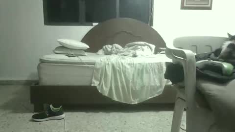 skanky_little_dolls online show from November 27, 8:05 am