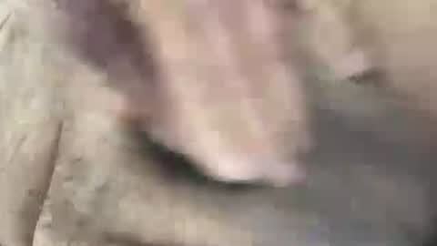 skima48 online show from February 14, 8:00 am