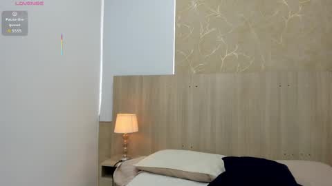 Snapshot of skinny_noa chatting on November 15, 11:29 am Noa online show from November 15, 11:29 am