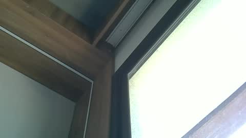 skinnykittencam online show from October 5, 3:10 pm