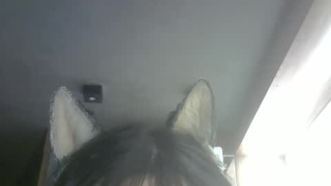 skinnykittencam online show from February 26, 10:25 am