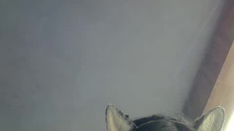 skinnykittencam online show from March 15, 9:48 am