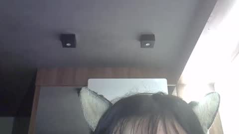 skinnykittencam online show from April 2, 3:15 am