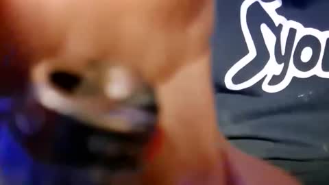 Snapshot of skunk8p chatting on January 11, 6:29 am skunk8p online show from January 11, 6:29 am
