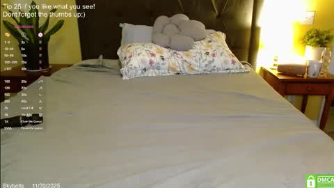 Skylar online show from November 20, 2:06 pm