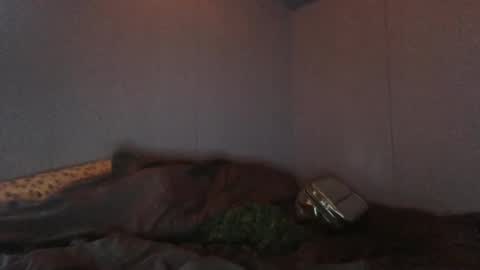 slapme_silly online show from December 12, 12:05 am