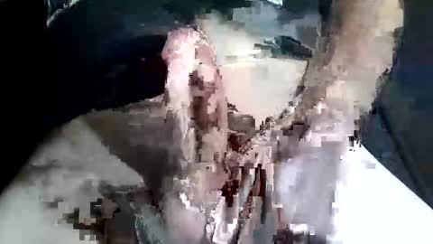 Z online show from November 2, 9:28 pm