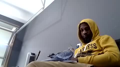 Snapshot of slickerthan12 chatting on February 8, 6:44 pm BBC Hanging online show from February 8, 6:44 pm