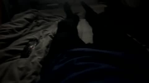 slimboy6900 online show from February 23, 1:36 am