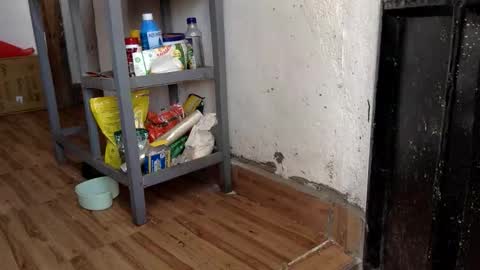 Skillibengisaadboy online show from February 7, 7:23 am