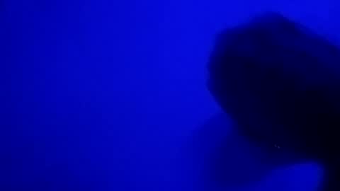 Snapshot of sluttyslut123797367 chatting on June 28, 10:32 am Nastyguurl online show from June 28, 10:32 am