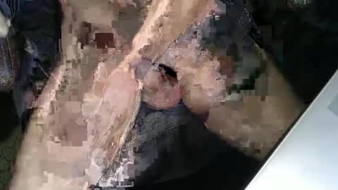 Snapshot of slyfast1 chatting on December 18, 5:02 am slyfast1 online show from December 18, 5:02 am