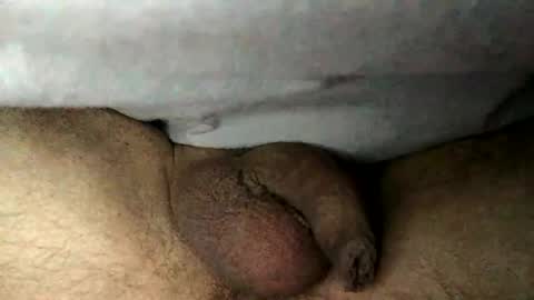 Bernd online show from January 17, 2:16 am