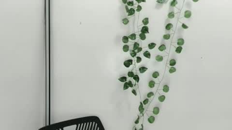 Julia online show from October 9, 6:33 am