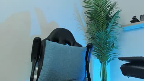 SMIT  online show from December 7, 9:39 am