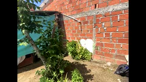 Smith  online show from December 8, 5:01 pm