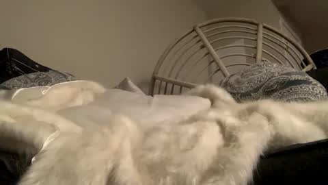 Smoke4Daddy online show from October 2, 12:56 pm