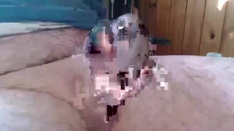 sn0man69 online show from January 6, 2:47 pm