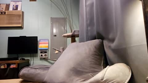 Snapshot of snackyyyy chatting on February 6, 1:10 am Snackyyyy online show from February 6, 1:10 am