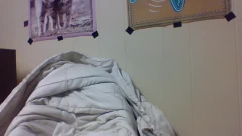 snake1eye67959 online show from December 24, 12:11 am