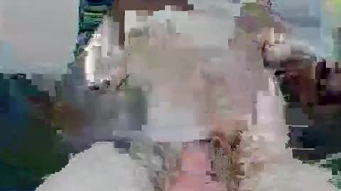 snakey boy online show from November 26, 10:05 am