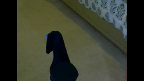 snizniz online show from December 2, 4:09 pm