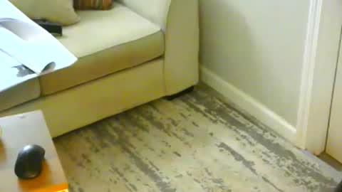 snizniz online show from January 21, 6:23 pm