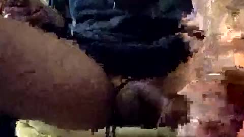 Lets play n party online show from January 7, 7:55 am