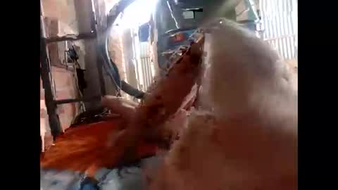 snqhephncxpu online show from February 17, 1:18 pm