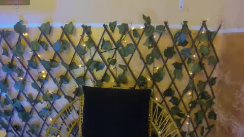 leidy online show from December 1, 8:14 pm