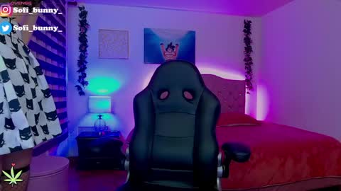 Snapshot of soffi_bunny_ chatting on February 23, 6:07 am soffi_bunny_ online show from February 23, 6:07 am