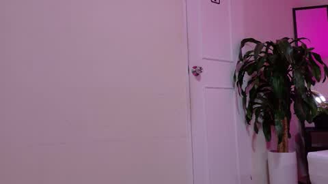 Snapshot of sofia__salazar chatting on February 5, 11:48 am sofia__salazar online show from February 5, 11:48 am