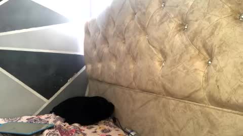 Sofia Jimenez online show from November 4, 6:18 pm